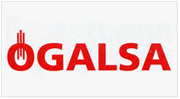 Galsa